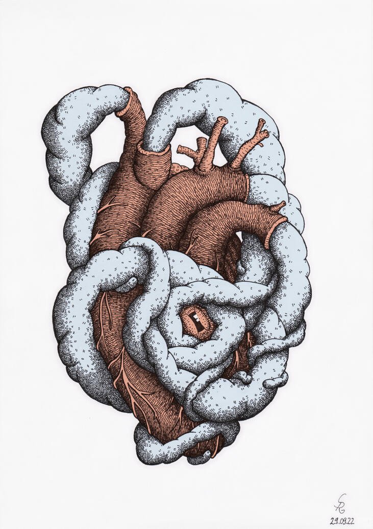 Squid Heart
