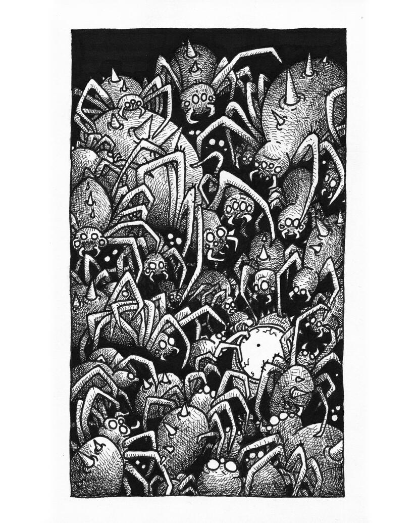 Spiders