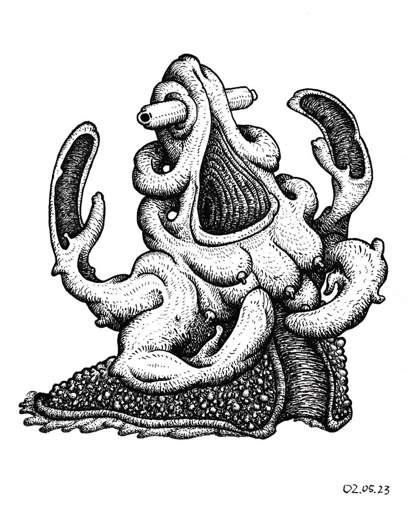 Slug Crab